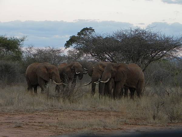 Tsavo West NP之Campsite (1).JPG