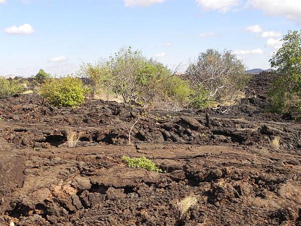 Shetani Lava Flow (3).JPG