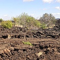 Shetani Lava Flow (3).JPG