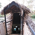 Mzima Springs (17).jpg