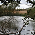 Mzima Springs (19).jpg