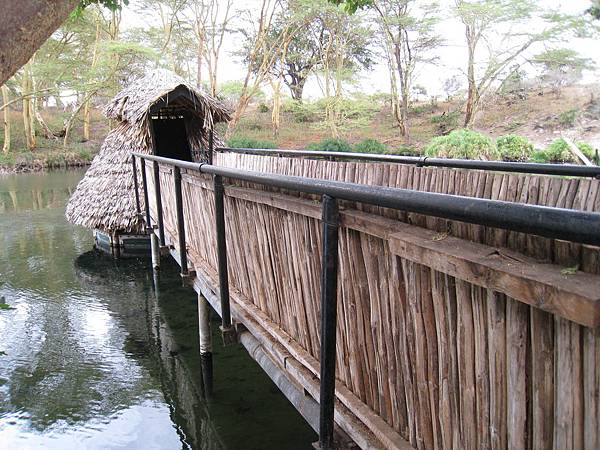 Mzima Springs (20).jpg