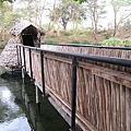 Mzima Springs (20).jpg