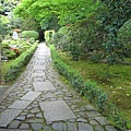 京都安樂寺 (1).JPG