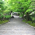 京都安樂寺 (2).JPG