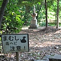 京都真如堂 (3).JPG