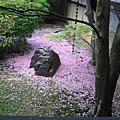 京都真如堂 (38).JPG