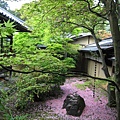 京都真如堂 (39).JPG