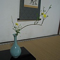 京都真如堂 (44).JPG
