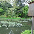 京都平安神宮 (16).JPG