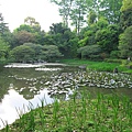 京都平安神宮 (18).JPG