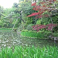 京都平安神宮 (19).JPG