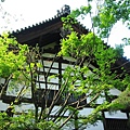 京都龍安寺 (20).JPG