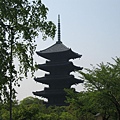 京都東寺 (20).JPG