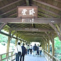 京都東福寺 (5).JPG
