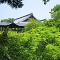京都東福寺 (6).JPG