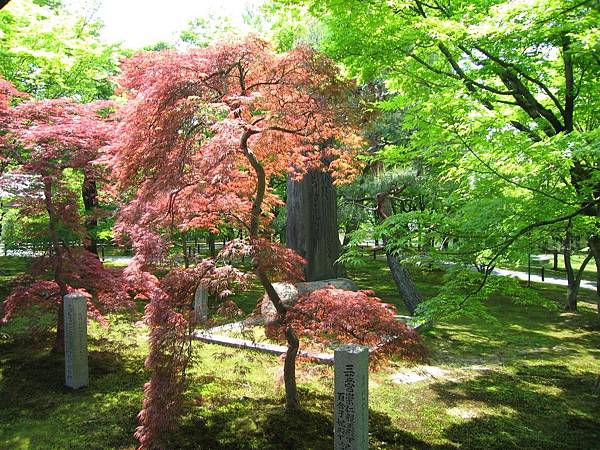 京都東福寺 (11).JPG