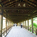 京都東福寺 (13).JPG