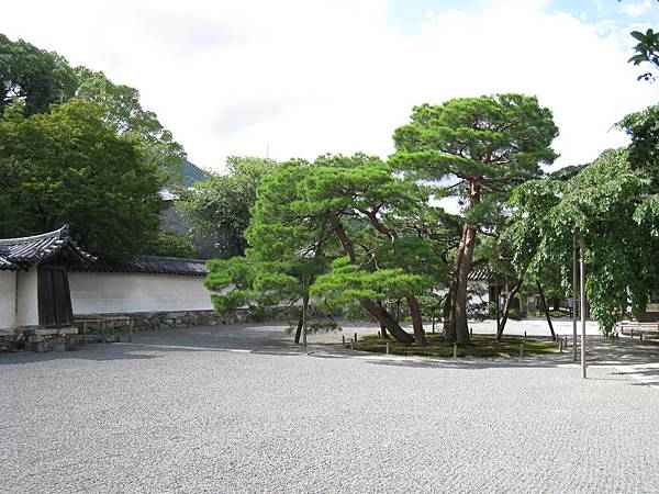 醍醐寺 (3).JPG