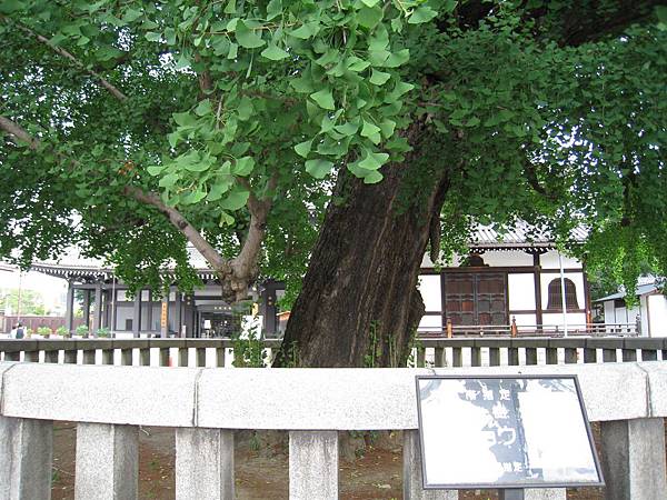 京都西本願寺 (16).JPG