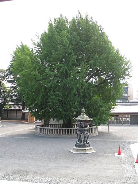 京都西本願寺 (26).JPG