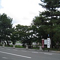 京都嵐山 渡月橋 (10).JPG