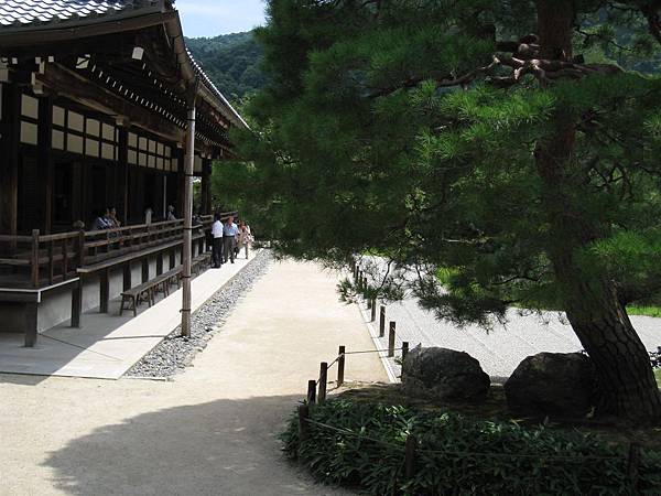 京都嵐山 天龍寺 (12).JPG