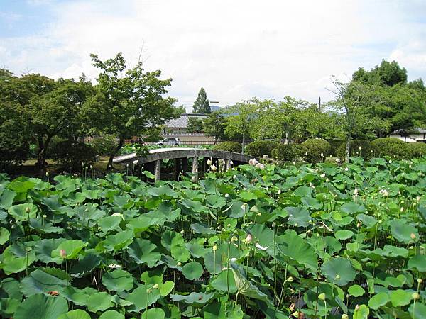 京都嵐山 天龍寺 (66).JPG