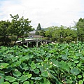 京都嵐山 天龍寺 (66).JPG