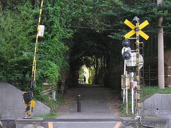 京都嵐山 竹林小徑 (4).JPG