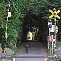 京都嵐山 竹林小徑 (4).JPG