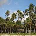 Diani Beach (37).jpg