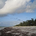 Diani Beach (40).jpg