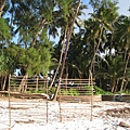 Diani Beach (43).jpg