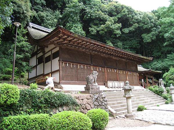 京都 宇治上神社 (15).JPG