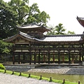 宇治平等院 (15).JPG