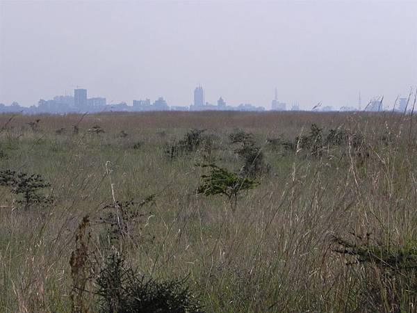 Nairobi NP (5).JPG