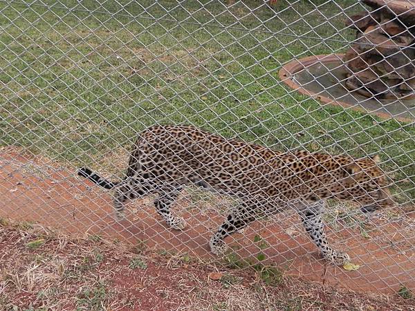 Animal Orphanage (13).JPG