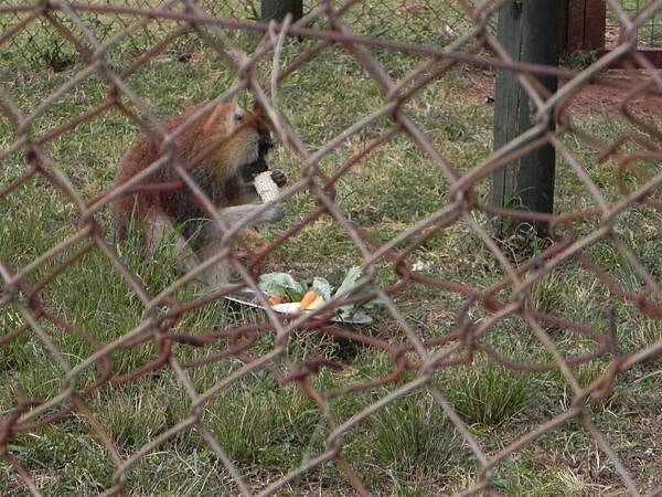 Animal Orphanage (25).JPG