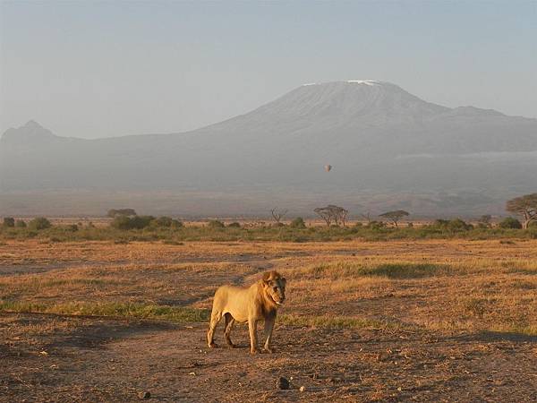 Mt Kilimanjaro (2).JPG