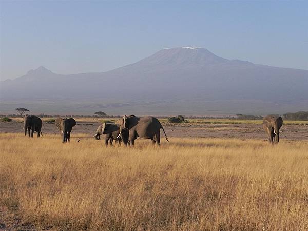 Mt Kilimanjaro (4).JPG