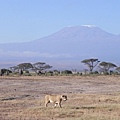 Mt Kilimanjaro (7).JPG