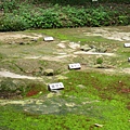 下鴨神社 (75).JPG