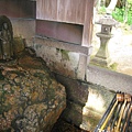 仁和寺 (65).JPG