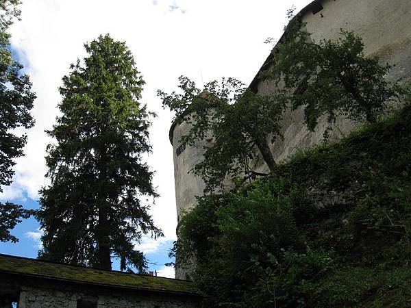 Bled Castle (8).JPG