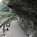 砂卡礑步道 (25).JPG