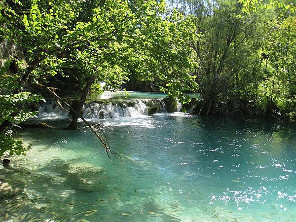 Plitvice Lakes NP 下湖區 (50).JPG
