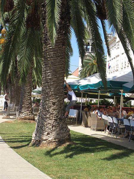 Trogir Waterfront (3)