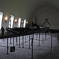 Vikingskipshuset (4)