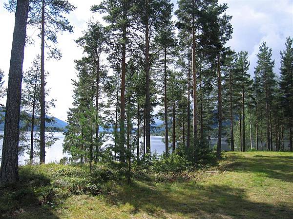 Hallingporten餐廳  (4)